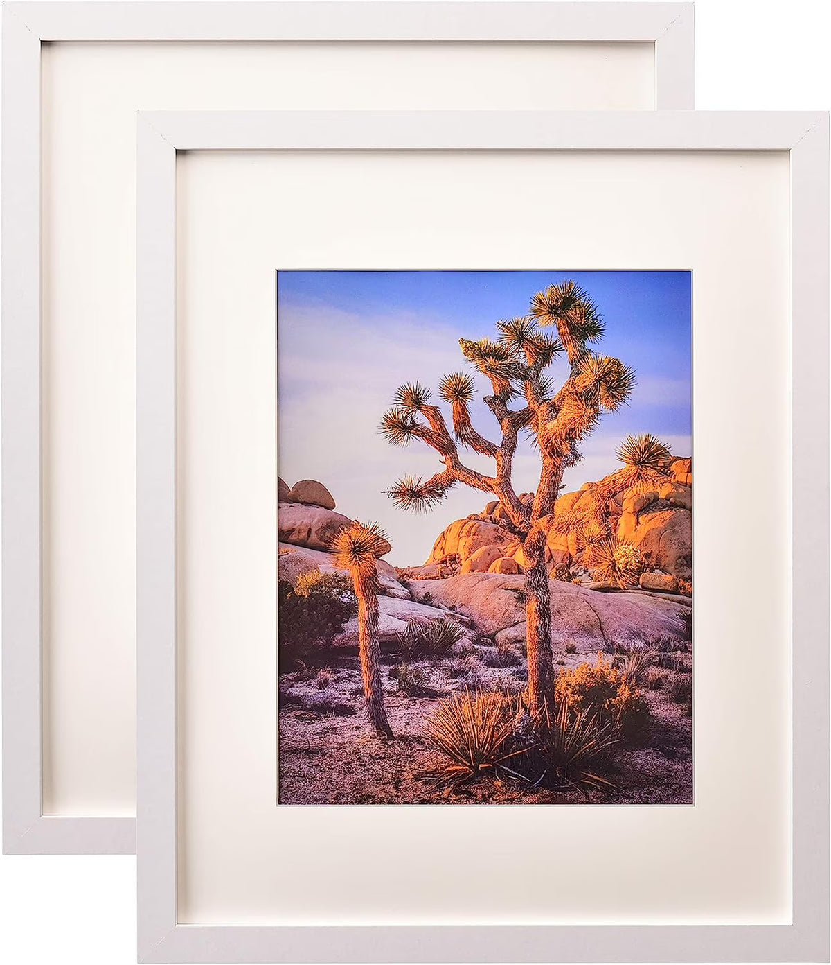 White 16x20 inches Wall Poster Frame Matted to 11x14 inches with Polystyrene Glass – 2 Pack P2312