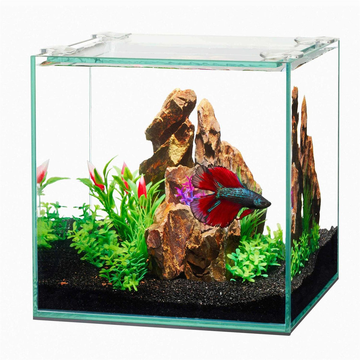 Frameless Cube Aquarium R9814