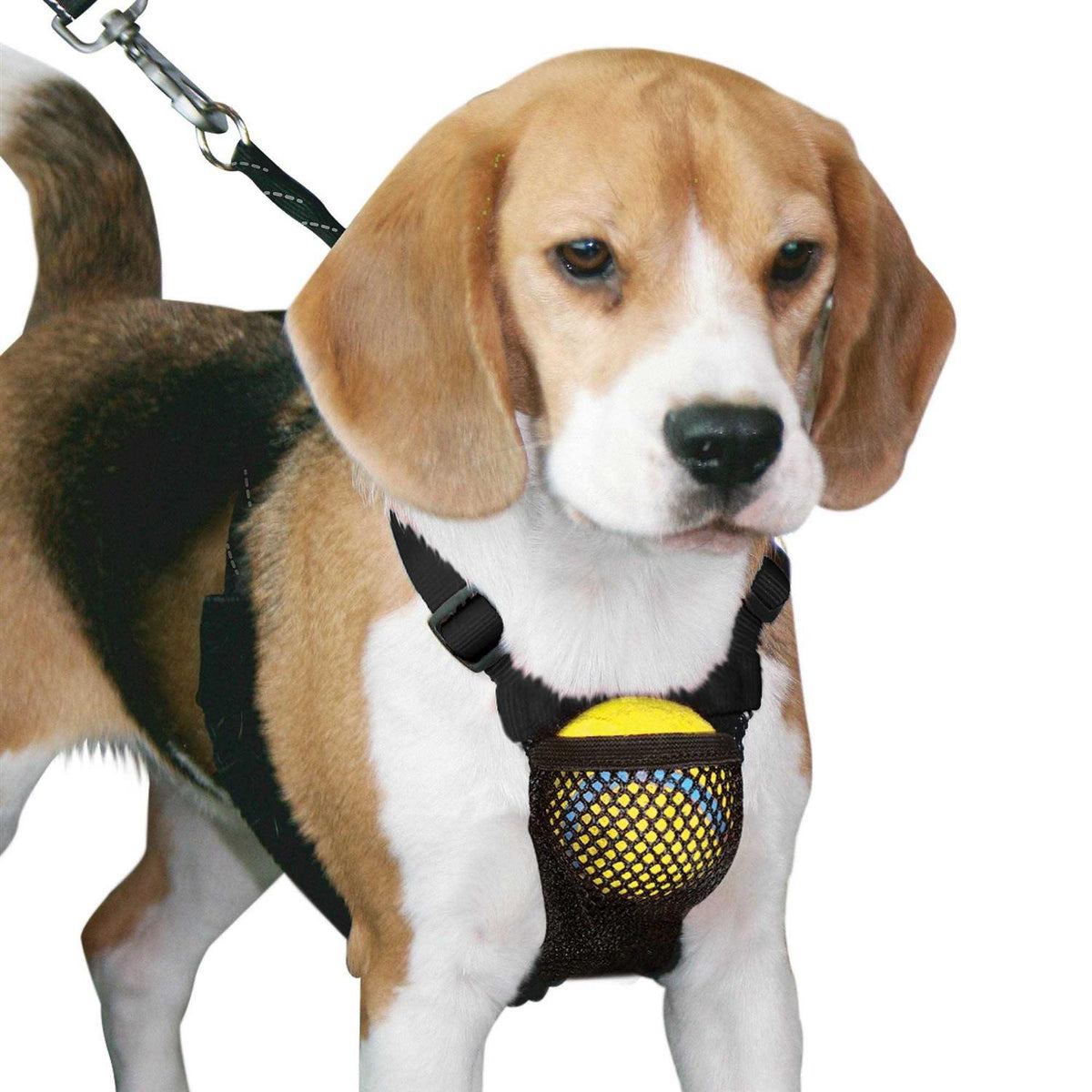 Medium Black Anti Pull Mesh Dog Harness W718216