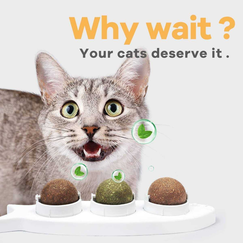 Catnip Wall Balls Toys for Cats W597982