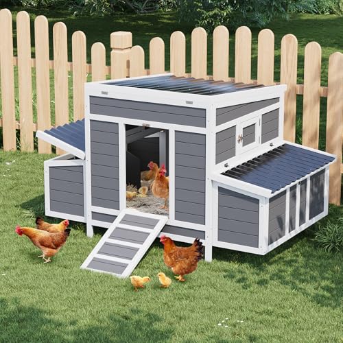 Wooden Chicken Coop for 4-6 Chickens with Nesting Boxes Y7324