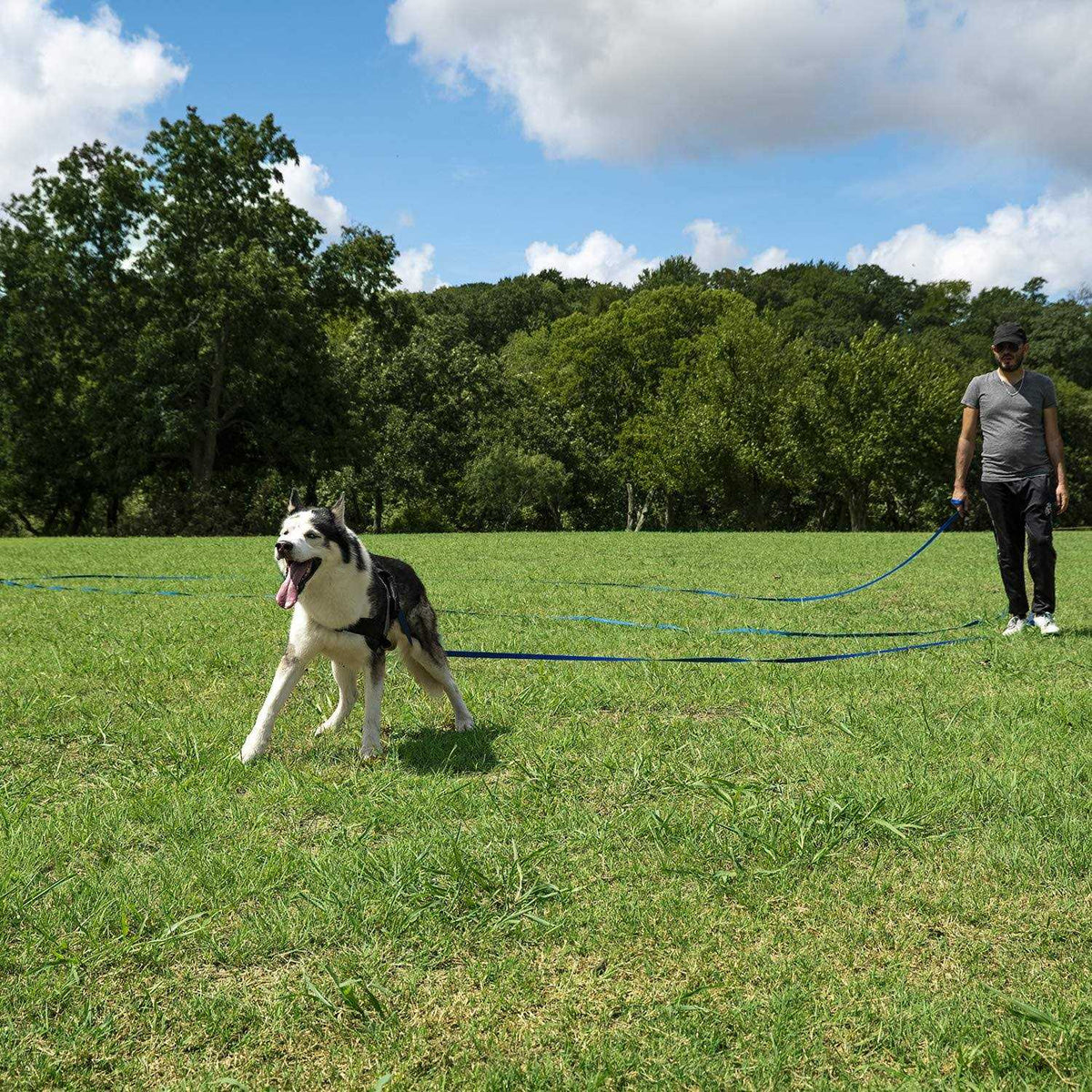 Dog Puppy Training Leash 15ft 20ft 30ft 50ft 100ft N6105