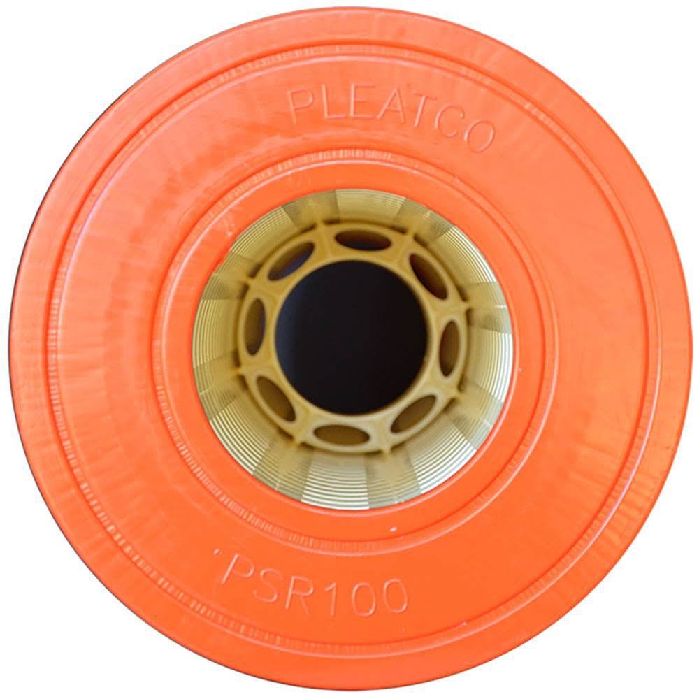 PSR100 Pool Replacement Cartridge Filter J841