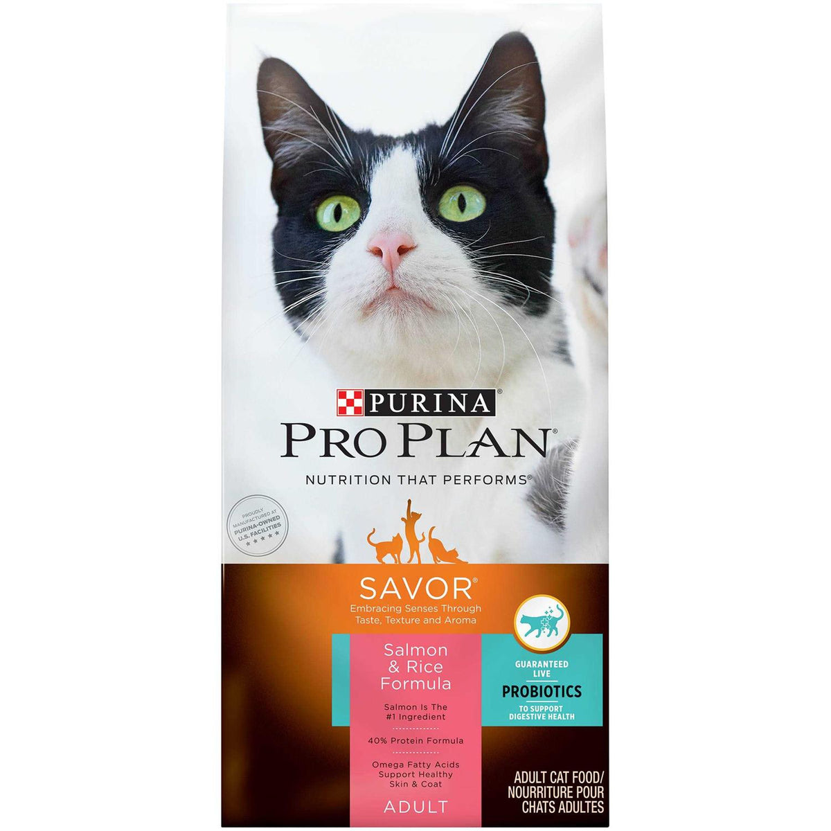 Salmon & Rice Formula Dry Cat Food M6609