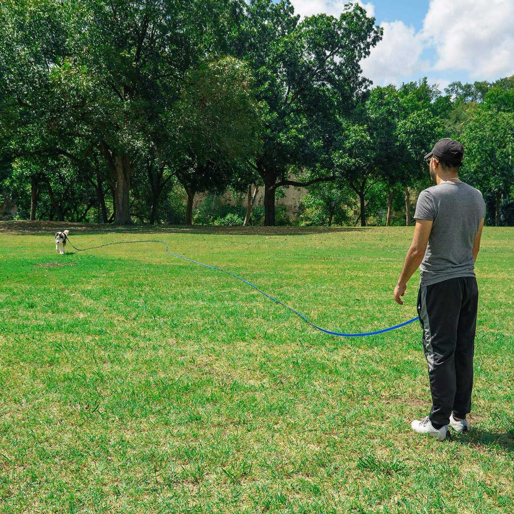 Dog Puppy Training Leash 15ft 20ft 30ft 50ft 100ft N6105