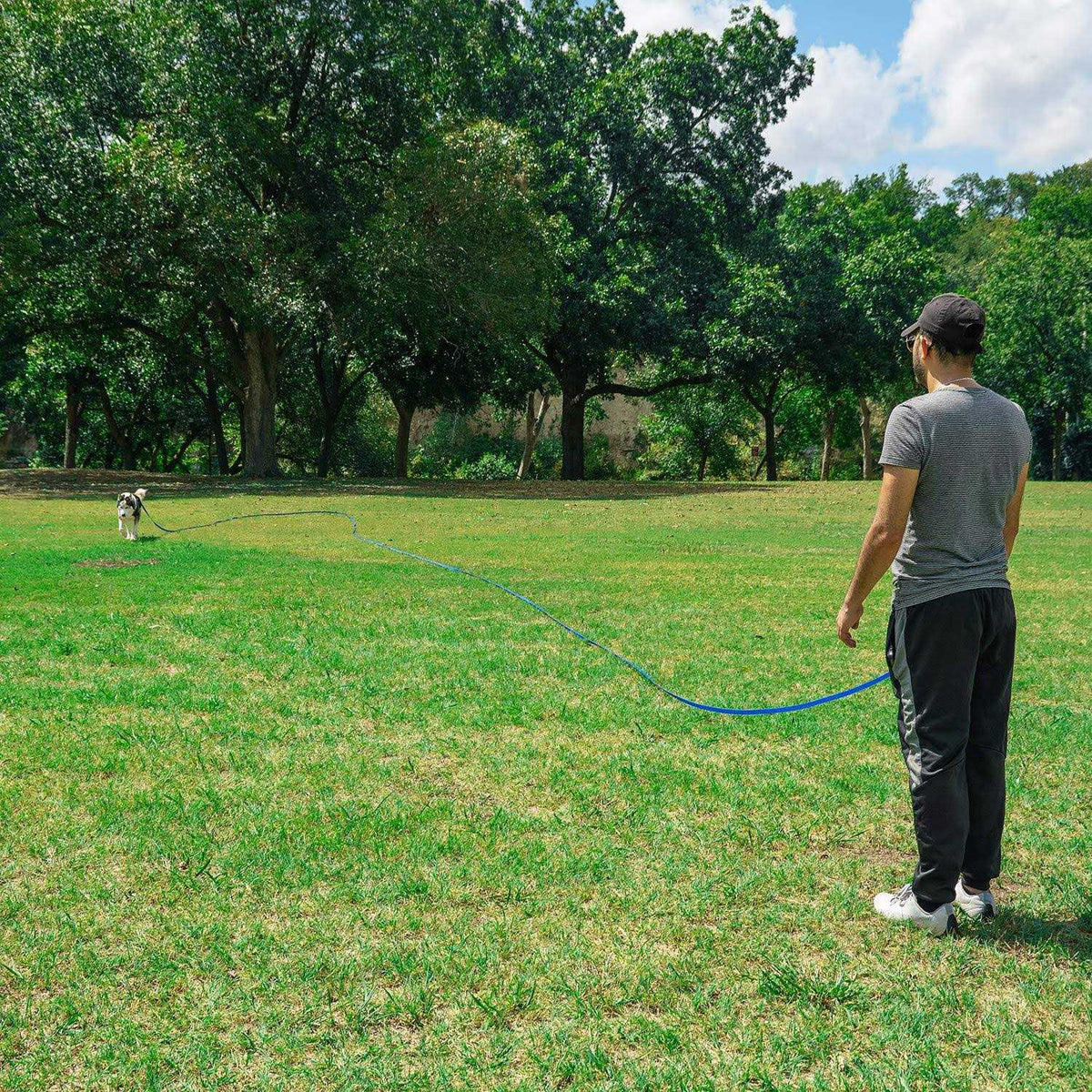 Dog Puppy Training Leash 15ft 20ft 30ft 50ft 100ft N6105