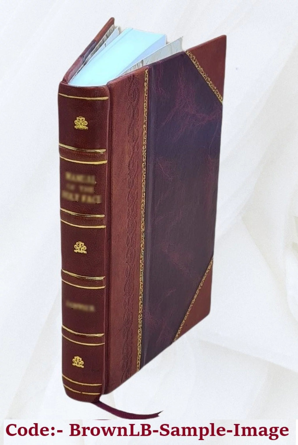 Leather Bound T366